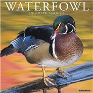 Waterfowl 2020 Calendar
