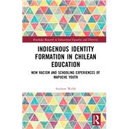 Indigenous Identity Formation in Chilean Education