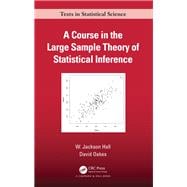 A Course in the Large Sample Theory of Statistical Inference