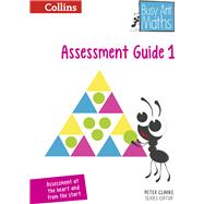 2014 Busy Ant Maths — Year 1 Assessment Guide