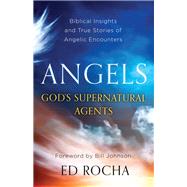 Angels-god's Supernatural Agents