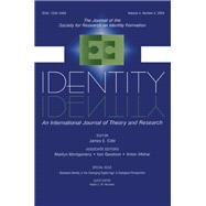 Mediated Identity in the Emerging Digital Age