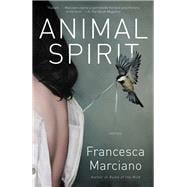 Animal Spirit Stories