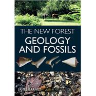 The New Forest Geology and Fossils