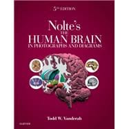 Nolte's the Human Brain in Photographs and Diagrams