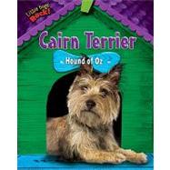 Cairn Terrier
