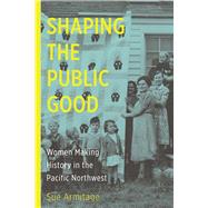 Shaping the Public Good