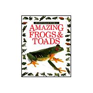 Eyewitness Jr : Amazing Frogs and Toads