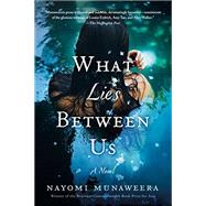 What Lies Between Us A Novel