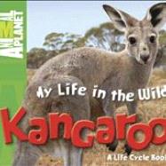 My Life in the Wild: Kangaroo