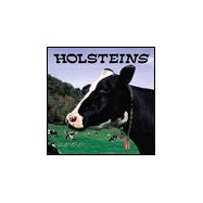 Holsteins 2000 Calendar