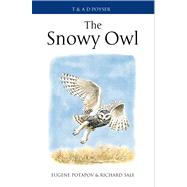 The Snowy Owl