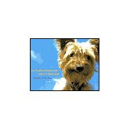 Cat Spelled Backwards Doesn't Spell God Portraits of Divine Dogs