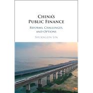 China's Public Finance