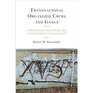 Transnational Organized Crime and Gangs Intervention, Prevention, and Suppression of Cybersecurity