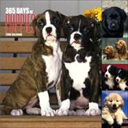 365 Days Of Puppies 2006 Calendar