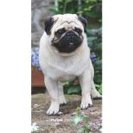 Pugs 2011-2012 Two Year Pocket Planner