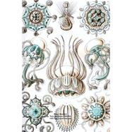 Ernst Haeckel Narcomedusae Jellyfish