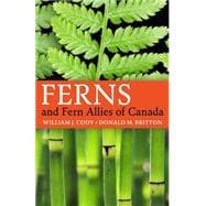 Ferns and Fern Allies of Canada