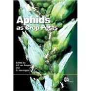 Aphids As Crop Pests