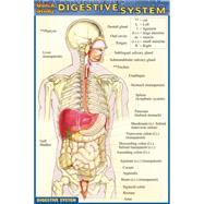 Digestive System Quick Reference Guide