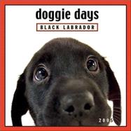 Doggie Days: Black Labrador 2005 Calendar