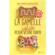 La gamelle idéale pour votre chien