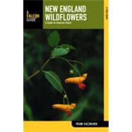 New England Wildflowers : A Guide to Common Plants