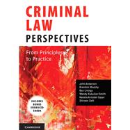 Criminal Law Perspectives (Enhanced Edition)