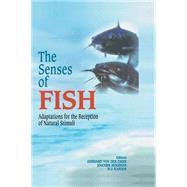 The Senses Of Fish