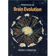 Principles Of Brain Evolution