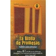 La biblia de promesas / Youth Promise Bible