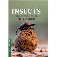 Insects and other Critters of Kruger
