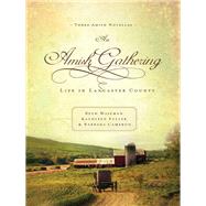 Amish Gathering : Life in Lancaster County