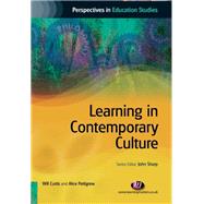 Learning in Contemporary Culture