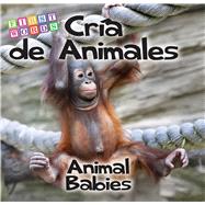 Cría de animales /Animal Babies