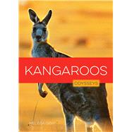 Kangaroos