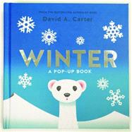 Winter A Pop-up Book