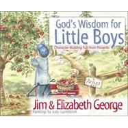God's Wisdom for Little Boys : Character-Building Fun from Proverbs
