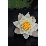 White Water Lily Journal