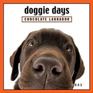 Doggie Days Chocolate Labrador 2005 Calendar