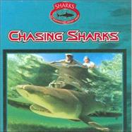 Chasing Sharks