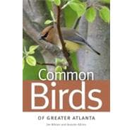 Common Birds of Greater Atlanta