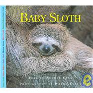 Baby Sloth