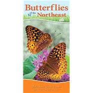 Butterflies of the Northeast