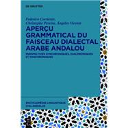 Apercu grammatical du faisceau dialectal arabe andalou