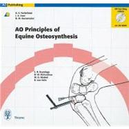 Principles of Equine Osteosynthesis