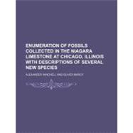 Enumeration of Fossils Collected in the Niagara Limestone at Chicago, Illinois With Descriptions of Several New Species