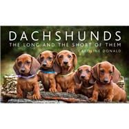 Dachshunds The Long and the Short of Them