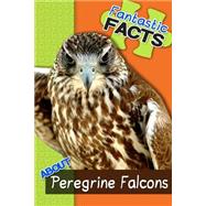 Fantastic Facts About Peregrine Falcons